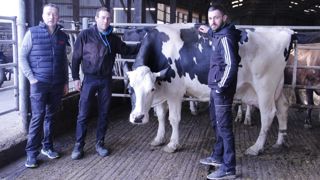 Gabriel, Fabien et Corentin Lemonnier (de gauche à droite) avec Méditation, la doyenne du troupeau.  Elle compte six lactations à son actif.