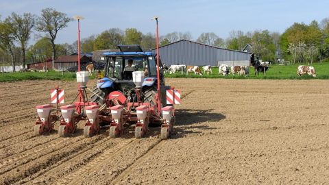 Quel temps pour les semis de maïs ? Quel temps pour les semis de maïs ?