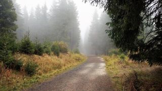 Les perturbations sont de retour cette semaine, avec pluies soutenues et coups de vent. Les perturbations sont de retour cette semaine, avec pluies soutenues et coups de vent.