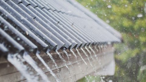 La pluie est installée pour plusieurs jours. La pluie est installée pour plusieurs jours.