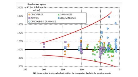 Impact de la date de destruction du couvert et du type de couvert sur le rendement du maïs suivant Impact de la date de destruction du couvert et du type de couvert sur le rendement du maïs suivant