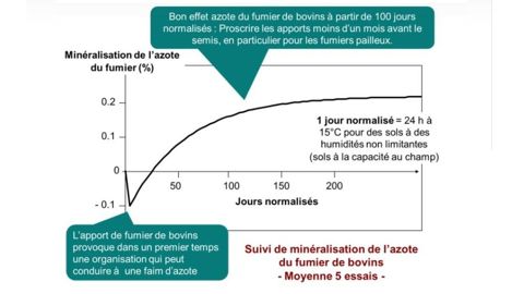 Dynamique de minéralisation de l’azote d’un fumier après épandage en fonction des jours normalisés Dynamique de minéralisation de l’azote d’un fumier après épandage en fonction des jours normalisés