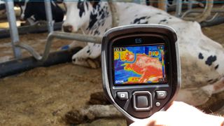 Mieux comprendre le stress thermique pour en réduire les impacts