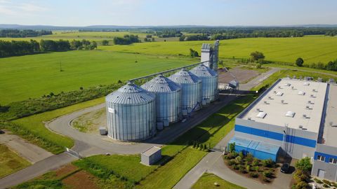 Horsch a testé le CTF sur plusieurs cultures.