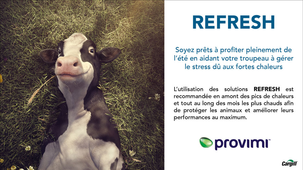 Lutter contre le stress thermique, la bonne résolution des éleveurs pour 2024