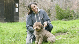Myriam voue une passion pour l’élevage de chiens truffiers de race Lagotto Romagnolo. Myriam voue une passion pour l’élevage de chiens truffiers de race Lagotto Romagnolo.