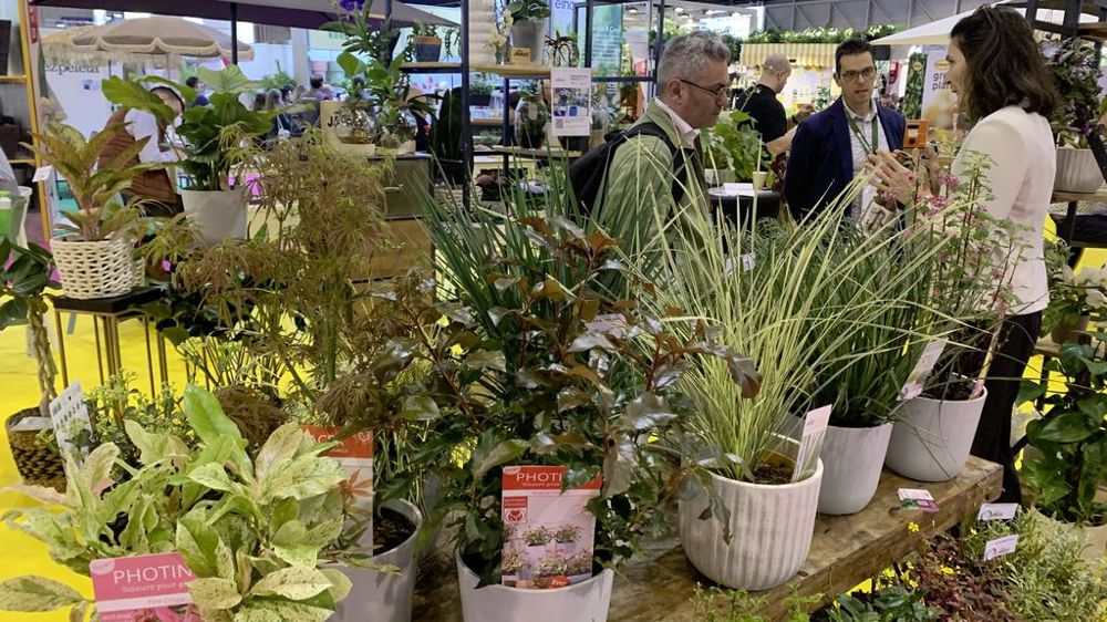 Les JDC Garden Trends, à Marseille, en mars, ont permis de pressentir les évolutions du marché du jardin. Les JDC Garden Trends, à Marseille, en mars, ont permis de pressentir les évolutions du marché du jardin.