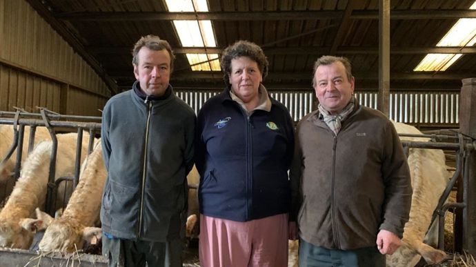 Rémy, Sabine et Christophe Ducrocq n'utilisent pas de maïs pour la ration hivernale des Charolaises. Leur secret : la betterave.