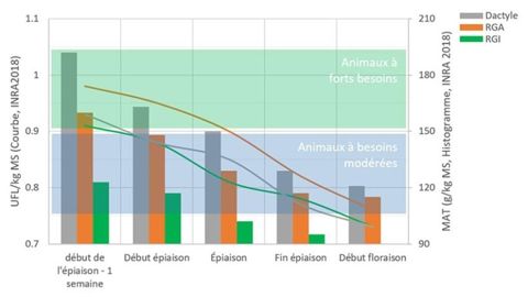 Evolution de la teneur en énergie UFL et de la teneur en protéines MAT de graminées prairiales ensilées au cours du premier cycle en fonction du stade