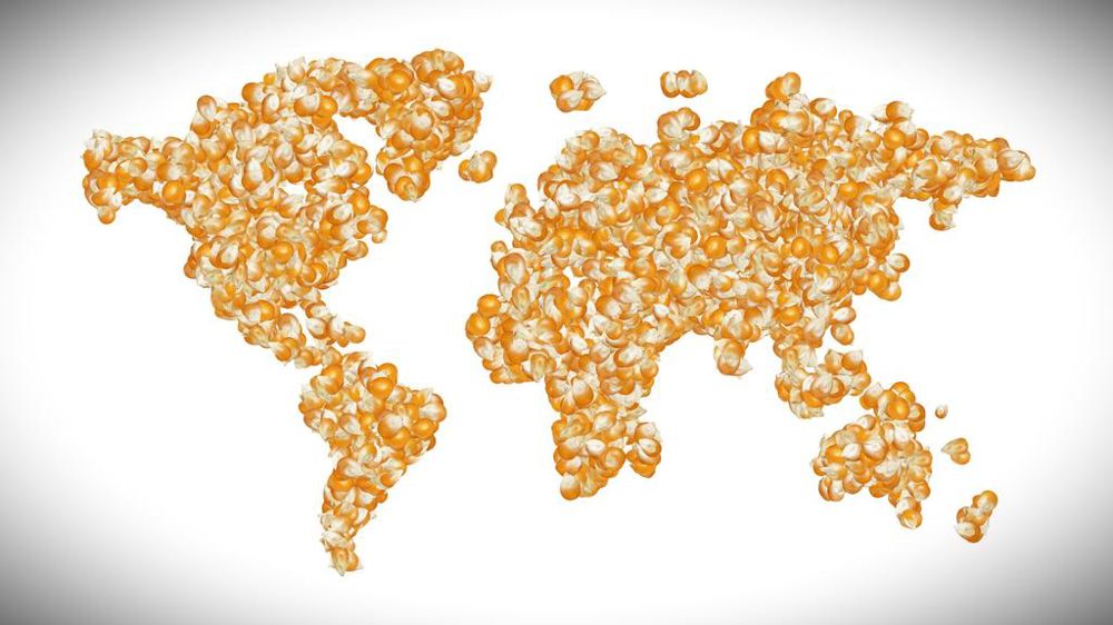 La planète maïs se concentre autour de quatre grands pays producteurs et exportateurs : les États-Unis, le Brésil, l'Argentine et l'Ukraine