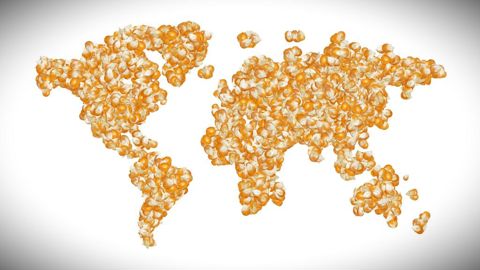 La planète maïs se concentre autour de quatre grands pays producteurs et exportateurs : les États-Unis, le Brésil, l'Argentine et l'Ukraine