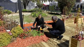 En 2024, il faut passer à l’orange dans vos jardins ! En 2024, il faut passer à l’orange dans vos jardins !