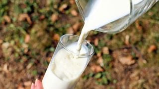 Sodiaal indique que le prix standard du lait conventionnel a atteint 448 euros les mille litres en 2023. Sodiaal indique que le prix standard du lait conventionnel a atteint 448 euros les mille litres en 2023.