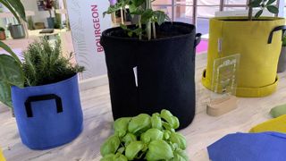 Les pots en géotextile, fabriqués par Bourgeon en Alsace, sont conçus en 15, 20, 30, 40 ou 50 cm et proposés en cinq coloris. Les pots en géotextile, fabriqués par Bourgeon en Alsace, sont conçus en 15, 20, 30, 40 ou 50 cm et proposés en cinq coloris.