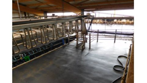 Sortie rapide en salle de traite TPA