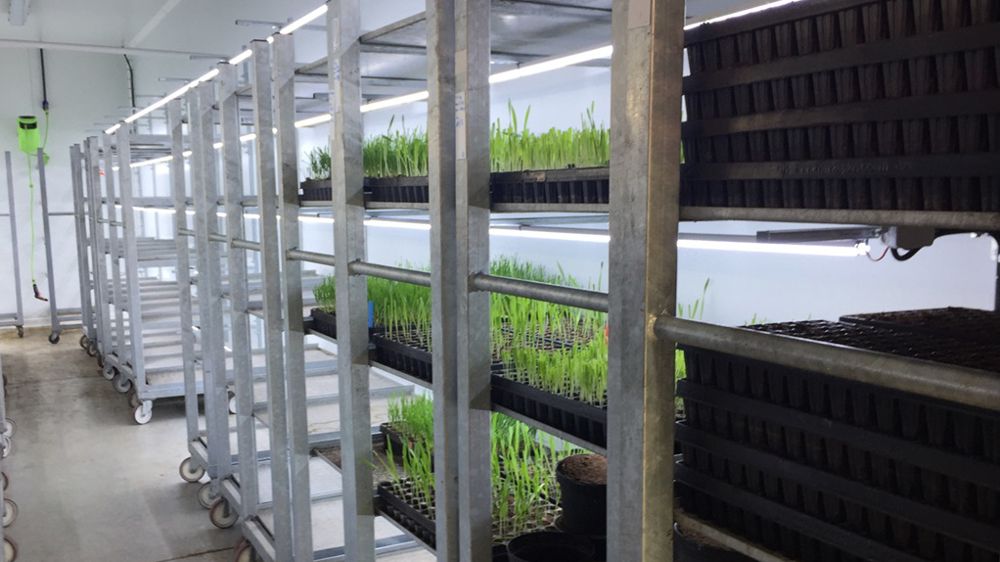 Bayer espère commercialiser son premier produit phyto nouvelle génération, probablement un herbicide, en 2030.