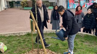 Le 6 février 2024, des collégiens ont planté un orme – l'arbre d'Hermès dans l'Antiquité – dans la cour de leur collège André-Doucet à Nanterre (92). Le 6 février 2024, des collégiens ont planté un orme – l'arbre d'Hermès dans l'Antiquité – dans la cour de leur collège André-Doucet à Nanterre (92).