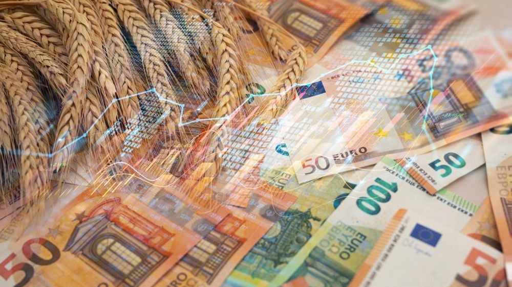 Epis de blé billets euros