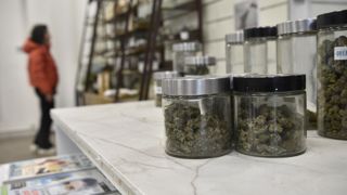 La relaxe prononcée par la cour d'appel de Rennes nuance la position de la Cour de cassation sur la conduite après consommation de CBD.