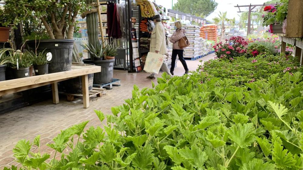 Selon la Fédération des jardineries et animaleries de France, le marché du jardin a reculé de 2,2 % en 2023, après une chute de 10 % l’année précédente. Le secteur du végétal a mieux résisté et l’année 2024 s’annonce positive. Selon la Fédération des jardineries et animaleries de France, le marché du jardin a reculé de 2,2 % en 2023, après une chute de 10 % l’année précédente. Le secteur du végétal a mieux résisté et l’année 2024 s’annonce positive.