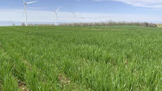 Selon les dernières estimations du ministère de l'Agriculture, les surfaces de blé tendre en France seraient en baisse de 7,7 % par rapport à la campagne précédente. Selon les dernières estimations du ministère de l'Agriculture, les surfaces de blé tendre en France seraient en baisse de 7,7 % par rapport à la campagne précédente.