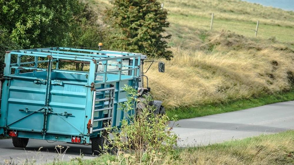 Bétaillère sur un chemin