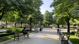 Le CNVVF a réuni les membres du jury national le 16 avril pour peaufiner leur harmonisation. Parmi les objectifs des organisateurs du fleurissement ces prochaines années, la volonté de relancer le prix de l’arbre.