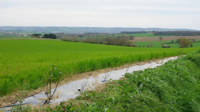 La localisation des haies se décide en fonction du type de sol et de l'orientation par rapport au soleil et aux vents dominants.