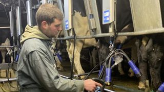 Le produit utilisé pour prévenir la Mortellaro est une association de bactéries vivantes en poudre conservées congelées. Mises en solution dans de l’eau, elles sont pulvérisées toutes les semaines sur chaque pied (environ 20 ml par pied). Le produit utilisé pour prévenir la Mortellaro est une association de bactéries vivantes en poudre conservées congelées. Mises en solution dans de l’eau, elles sont pulvérisées toutes les semaines sur chaque pied (environ 20 ml par pied).