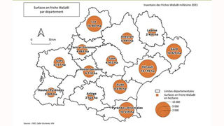 En Occitanie, l'Hérault est le département qui compte le plus de surfaces en friche mais ce sont les Pyrénées-Orientales qui sont le plus touchés en termes de taux de SAU. 11% de la SAU de ce département est abandonnée aux friches agricoles. En Occitanie, l'Hérault est le département qui compte le plus de surfaces en friche mais ce sont les Pyrénées-Orientales qui sont le plus touchés en termes de taux de SAU. 11% de la SAU de ce département est abandonnée aux friches agricoles.