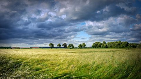L'Assemblée s'empare du projet de loi pour répondre à la colère agricole