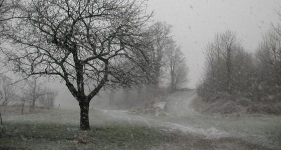 Paysage gelé