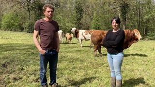 Jérémy et Amandine Bathier élèvent 50 vaches limousines et charolaises en plein air intégral. Jérémy et Amandine Bathier élèvent 50 vaches limousines et charolaises en plein air intégral.