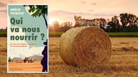 Dans Qui va nous nourrir ? Amélie Poinssot s'interroge sur le renouvellement des générations agricole et la nécessité d'accompagner les Nima.