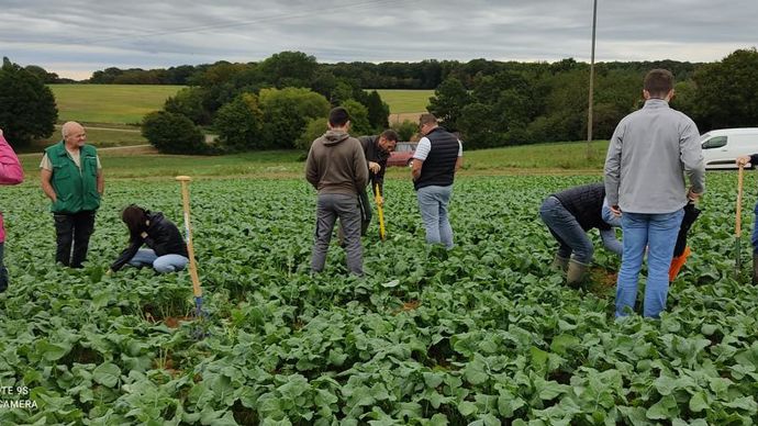 Trente-cinq TC de l'union SeineYonne sont actuellement formés sur la fertilité des sols via Cap Agronomie.