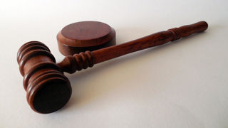 Le tribunal administratif de Toulouse a suspendu l’arrêté autorisant à abattre en Aveyron des chiens en état de divagation et soupçonnés d’attaquer des troupeaux de brebis. Le tribunal administratif de Toulouse a suspendu l’arrêté autorisant à abattre en Aveyron des chiens en état de divagation et soupçonnés d’attaquer des troupeaux de brebis.