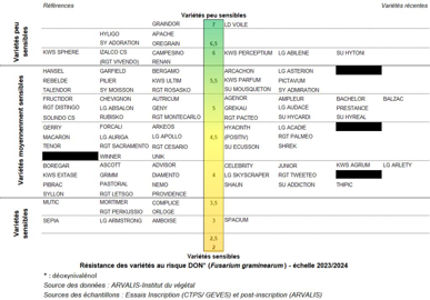 Sensibilité des variétés au DON Fusarium graminearum  échelle 2023-2024