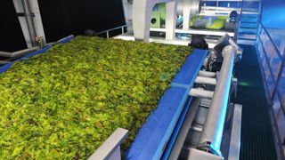 Plusieurs entreprises développent des solutions à base d’algues. C’est le cas du groupe Olmix qui collecte des algues vertes et rouges en Bretagne et en Vendée. Plusieurs entreprises développent des solutions à base d’algues. C’est le cas du groupe Olmix qui collecte des algues vertes et rouges en Bretagne et en Vendée.