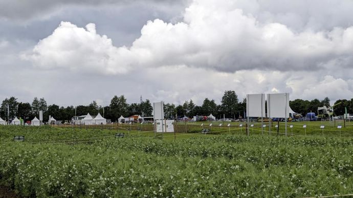 Au centre du salon Terres Innovation, organisé par Cérèsia les 15 et 16 mai à Chambry (Aisne), était implantée une plateforme de sept hectares, avec 25 essais portant sur 15 espèces et conduits sur 1 500 microparcelles.