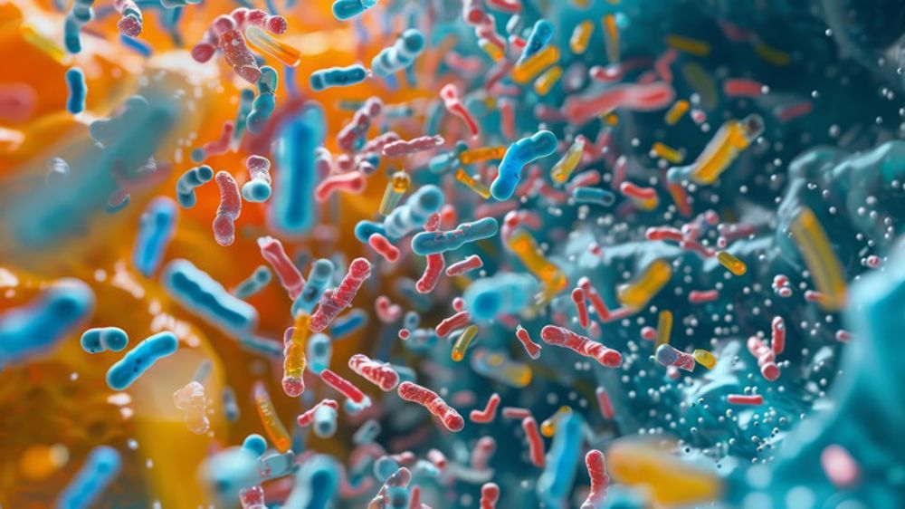 Avec Néonature offrez à vos cultures un autre mode de protection et de nutrition