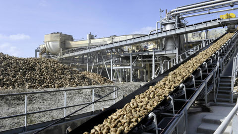 En 2022, l'équivalent d'environ 41 500 ha de betterave, 73 000 ha de maïs et 108 500 ha de blé ont été transformés en bioéthanol, selon FranceAgriMer. En 2022, l'équivalent d'environ 41 500 ha de betterave, 73 000 ha de maïs et 108 500 ha de blé ont été transformés en bioéthanol, selon FranceAgriMer.