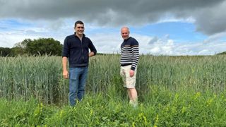 Simon Bourdin (à gauche) et Patrick Doyen (à droite) sont membres du collectif agrivoltaïque Agri Valdi Vert. Il devrait produire à terme environ 150 GWh d’électricité renouvelable par an. Simon Bourdin (à gauche) et Patrick Doyen (à droite) sont membres du collectif agrivoltaïque Agri Valdi Vert. Il devrait produire à terme environ 150 GWh d’électricité renouvelable par an.
