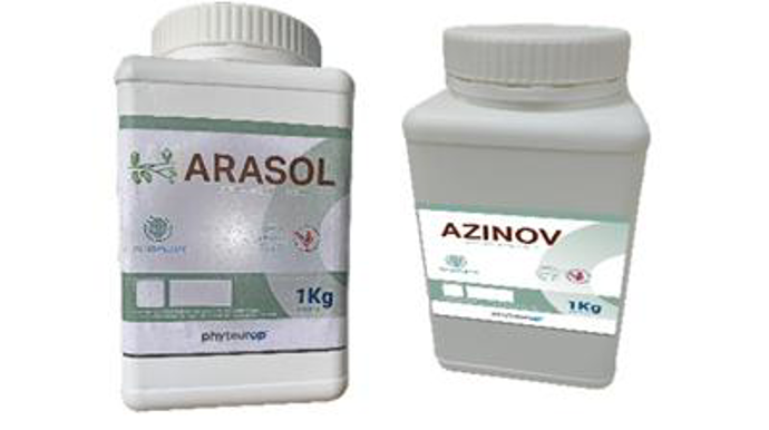 Pour la campagne 2024-2025, Phyteurop propose, en bidons de 1 kg, Arasol et Azinov, deux biostimulants de composition identique, formulés avec des bactéries fixatrices d’azote.