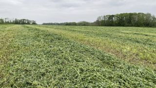 Le taux de couverture des sols est l’un des indicateurs pris en compte dans le PSE régénératif. Le taux de couverture des sols est l’un des indicateurs pris en compte dans le PSE régénératif.