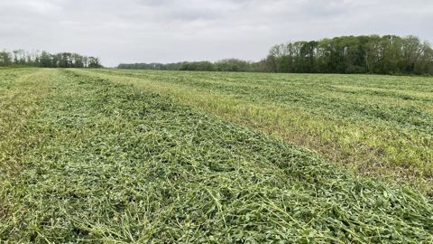 Le taux de couverture des sols est l’un des indicateurs pris en compte dans le PSE régénératif.