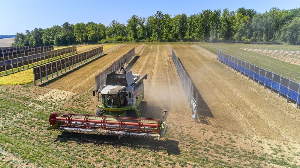 Des résultats prometteurs pour le démonstrateur agrivoltaïque du Channay