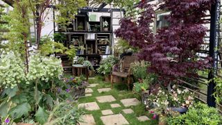 Le « Jardin de lecture, bibliothèque végétale » a été récompensé par la presse horticole présente au salon. Le « Jardin de lecture, bibliothèque végétale » a été récompensé par la presse horticole présente au salon.