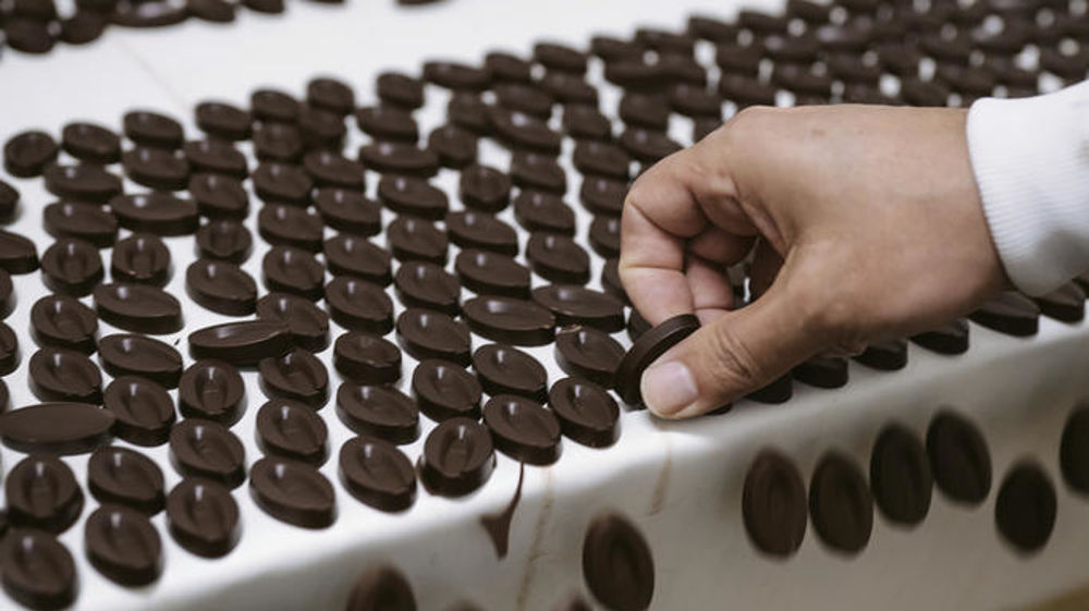 Les fèves de chocolat en sortie de moulage.