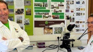 Les plants mycorhizés et les souches pour les Plants champignons® sont préparés en laboratoire, sous la responsabilité de Pierre et de Flavie. Les plants mycorhizés et les souches pour les Plants champignons® sont préparés en laboratoire, sous la responsabilité de Pierre et de Flavie.