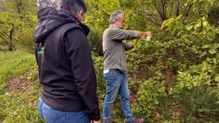 200 microguêpes Ganapsis ont été lâchées dans un bosquet d’une ferme ardéchoise dans l’espoir de réguler la population de Drosophila suzukii dans le département. 200 microguêpes Ganapsis ont été lâchées dans un bosquet d’une ferme ardéchoise dans l’espoir de réguler la population de Drosophila suzukii dans le département.